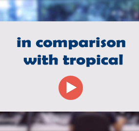 in comparison with tropical