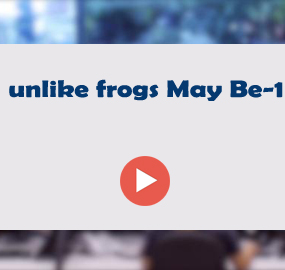 unlike frogs May Be-1